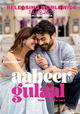 Aabeer Gulaal
