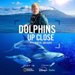 Dolphins Up Close with Bertie Gregory (2025)