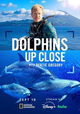 Dolphins Up Close with Bertie Gregory
