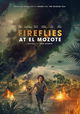 Fireflies at El Mozote