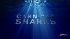 Cannibal Sharks (2019)