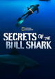 Secrets of the Bull Shark