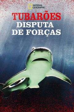 Raging Bull Shark (2020)