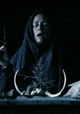 Mother of Flies