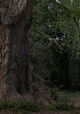 Stille Freundin