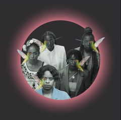 Le retour des femmes colibris (2023)