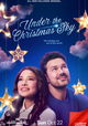 Under the Christmas Sky