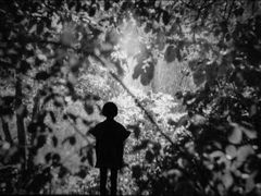 Why Does This Appear? (2020)