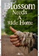 Blossom Needs A Ride Home