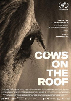 Cows on the Roof (2020)