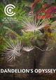 Dandelion's Odyssey