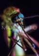 Mosquito