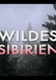 Siberia's Wild Year