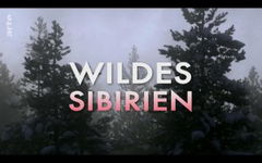 Siberia's Wild Year (2017)