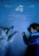 The Dog