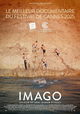 Imago