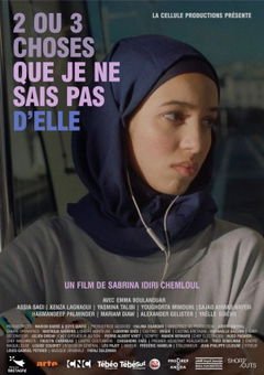 Deux ou trois choses que je ne sais pas d'elle (2022)