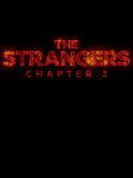 The Strangers: Chapter 3