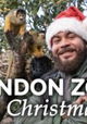 London Zoo at Christmas
