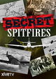 The Secret Spitfires
