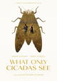 What Only Cicadas See
