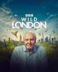 Wild London (2026)
