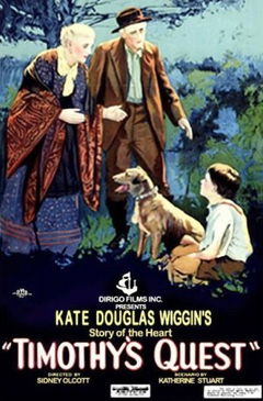 Timothy's Quest (1922)