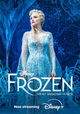 Frozen: The Hit Broadway Musical