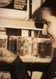 Amazing Live Sea Monkeys