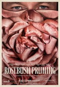 Rosebush Pruning