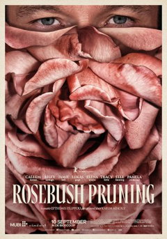Rosebush Pruning (2026)