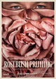 Rosebush Pruning