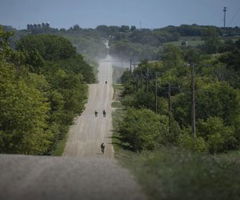 The Last Damn (2024)