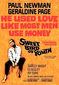 Sweet Bird of Youth
