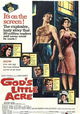 God's Little Acre