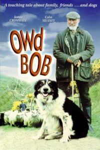 Owd Bob