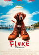 Fluke