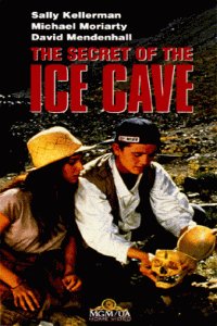 The Secret of the Ice Cave (1989)