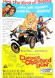 Clarence, the Cross-Eyed Lion