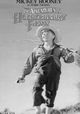 The Adventures of Huckleberry Finn