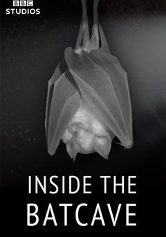 Inside the Bat Cave (2020)