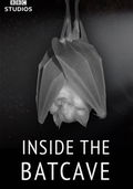 Inside the Bat Cave (2020)