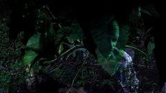 Yurugu - Invisible Lines (2026)