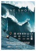 One Shot: An Image and an Attitude (2017)