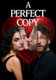 A Perfect Copy