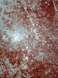 Du sang, de la volupté et de la mort, part II: Lysis (1948)