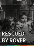 Rescued by Rover (1905)