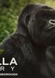 A Gorilla Story: Told by David Attenborough