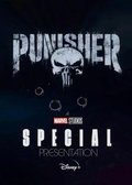 The Punisher: One Last Kill
