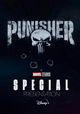 The Punisher: One Last Kill